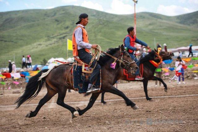 天祝县抓喜秀龙首届民俗文化暨草原风情旅游节开幕