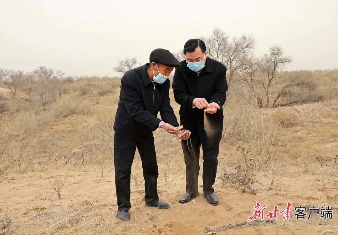 胡昌升在武威市调研时强调：大力弘扬躬身践行“八步沙”精神 拼搏奋斗加快发展矢志不渝造福人民
