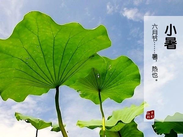 小暑诗词里的“酷热”与“清凉”